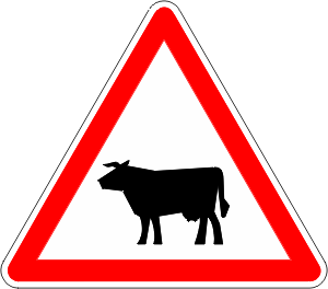 A15a1