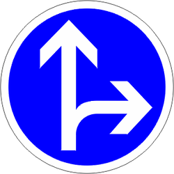 B21d1