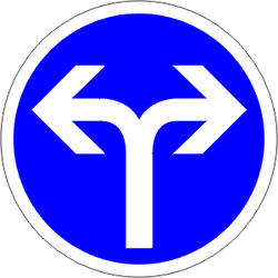 B21e